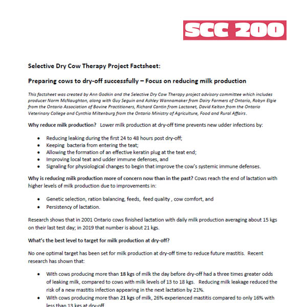Selective Dry Cow Therapy Project Factsheet: Preparing cows to dry-off successfully – focus on reducing milk production