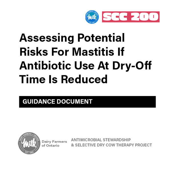 Assessing Potential Risks for Mastitis if Antibiotic use At Dry-Off Time Is Reduced