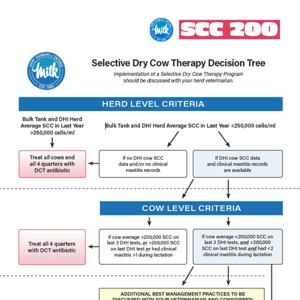 Selective Dry Cow Therapy Decision Tree