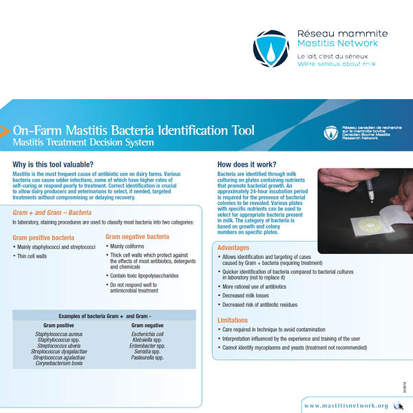 On-Farm Mastitis Bacteria Identification Tool: Mastitis Treatment Decision System