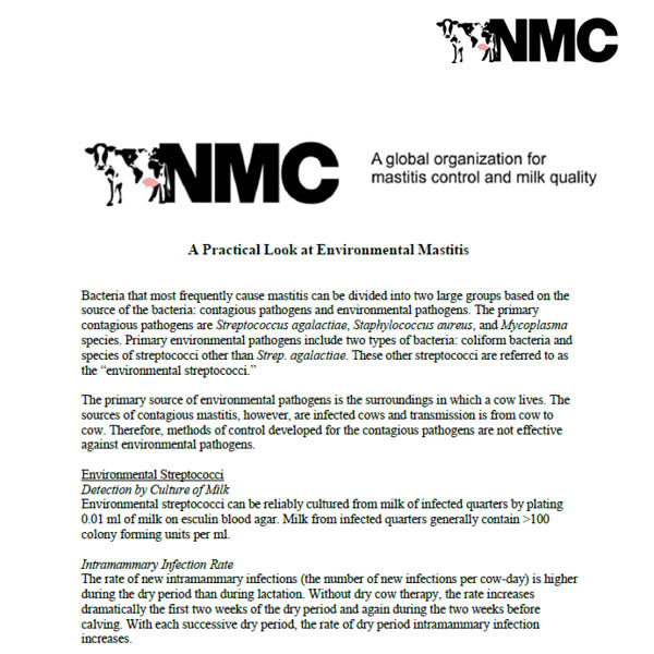 A Practical Look at Environmental Mastitis