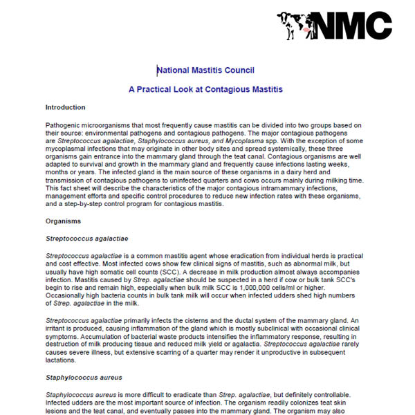 A Practical Look at Contagious Mastitis