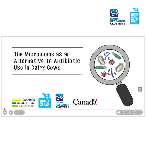 The Microbiome as an Alternative to Antibiotic Use in Dairy Cows