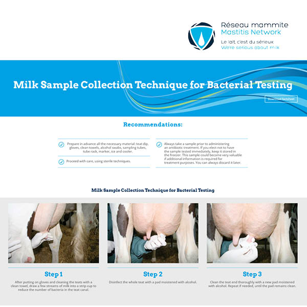 Milk Sample Collection Technique for Bacterial Testing