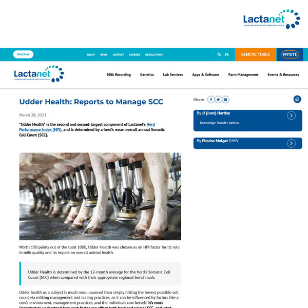 Udder Health: Reports to Manage SCC