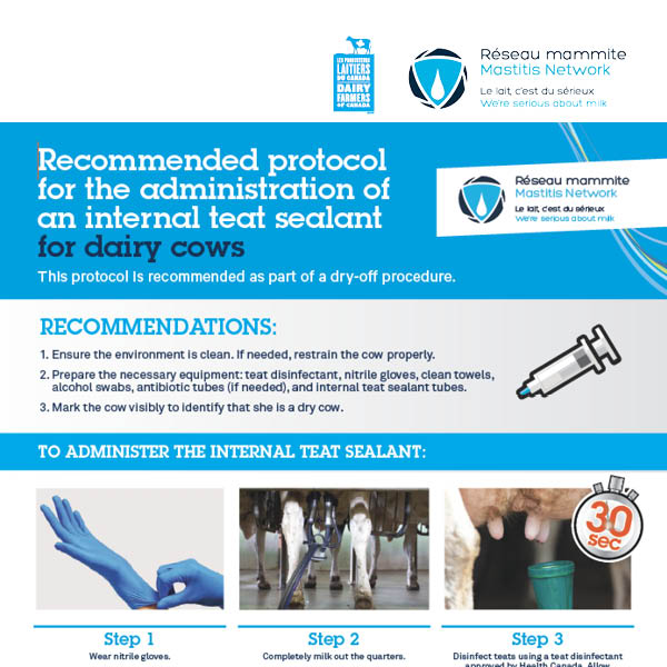 Recommended protocol for the administration of an internal teat sealant for dairy cows